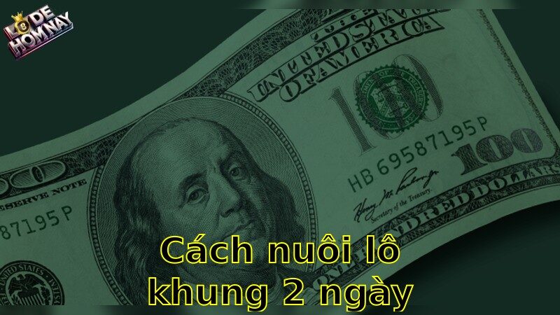 Cách nuôi lô khung 2 ngày – Kế hoạch quản lý hiệu quả nhất