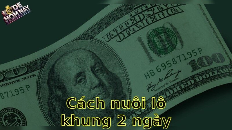 Cách nuôi lô khung 2 ngày – Kế hoạch quản lý hiệu quả nhất