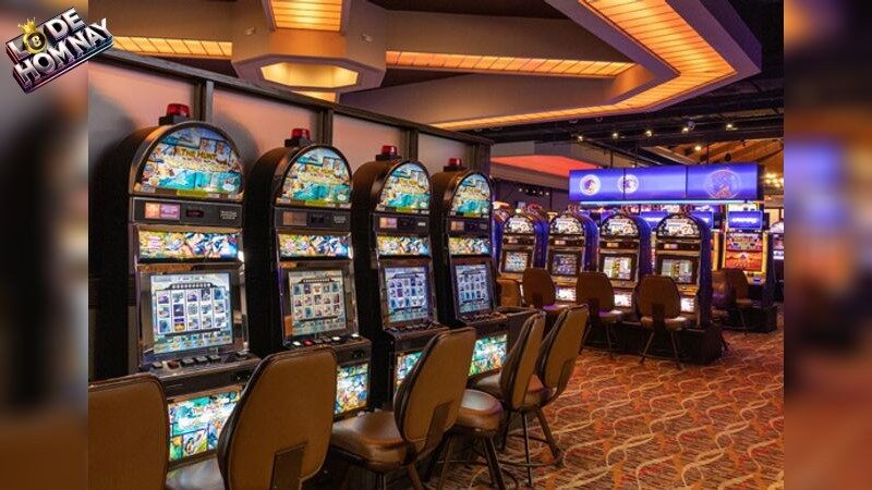 Khám Phá Ý Nghĩa Giấc Mơ Trong Cá Cược