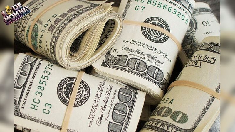 Kỹ Thuật Chuyên Sâu trong Nuôi Lô